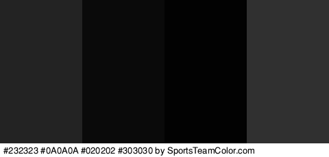 #232323 #0A0A0A #020202 #303030 Colors