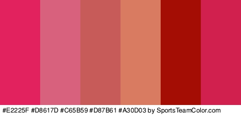 #E2225F #D8617D #C65B59 #D87B61 #A30D03 #D11F4E Colors