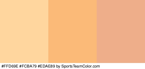 #FFD69E #FCBA79 #EDAE89 Colors