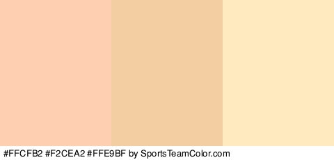 #FFCFB2 #F2CEA2 #FFE9BF Colors