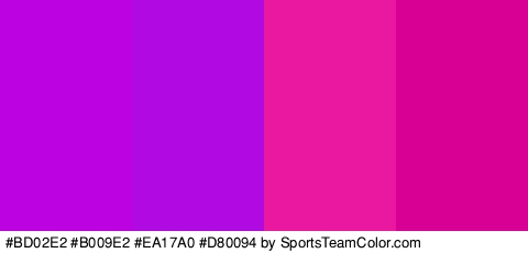 #BD02E2 #B009E2 #EA17A0 #D80094 Colors