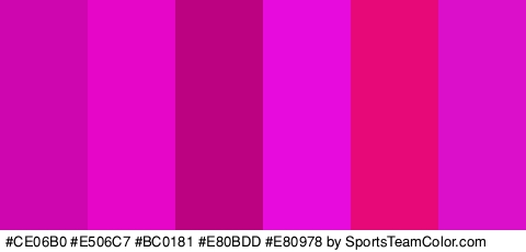 #CE06B0 #E506C7 #BC0181 #E80BDD #E80978 #DB0FCA Colors