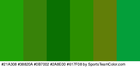 #21A308 #38820A #0B7002 #2A8E00 #617F08 #049E3A Colors