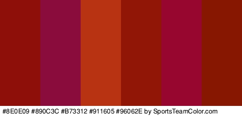 #8E0E09 #890C3C #B73312 #911605 #96062E #871701 Colors