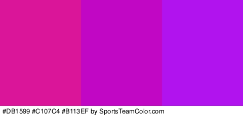 #DB1599 #C107C4 #B113EF Colors