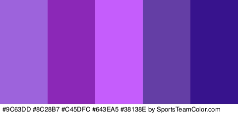 #9C63DD #8C28B7 #C45DFC #643EA5 #38138E Colors