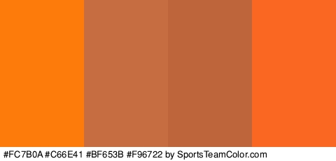 #FC7B0A #C66E41 #BF653B #F96722 Colors