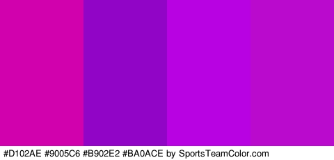 #D102AE #9005C6 #B902E2 #BA0ACE Colors