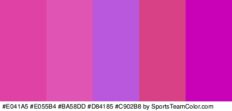 #E041A5 #E055B4 #BA58DD #D84185 #C902B8 Colors