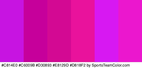 #C814E0 #C6009B #D30893 #E8129D #D818F2 #EA17CE Colors