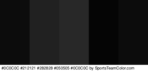 #0C0C0C #212121 #282828 #050505 #0C0C0C Colors