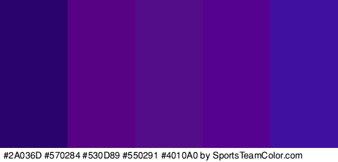 #2A036D #570284 #530D89 #550291 #4010A0 Colors