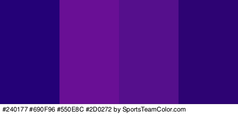 #240177 #690F96 #550E8C #2D0272 Colors