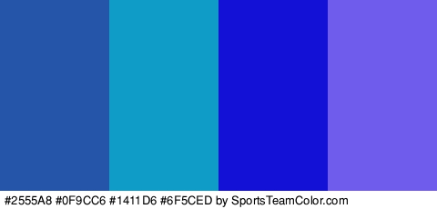 #2555A8 #0F9CC6 #1411D6 #6F5CED Colors