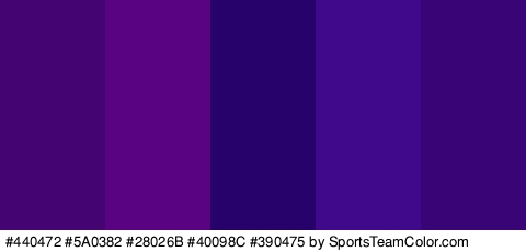 #440472 #5A0382 #28026B #40098C #390475 Colors