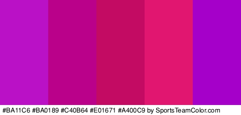 #BA11C6 #BA0189 #C40B64 #E01671 #A400C9 Colors