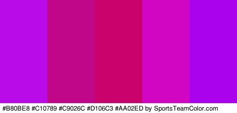 #B80BE8 #C10789 #C9026C #D106C3 #AA02ED Colors