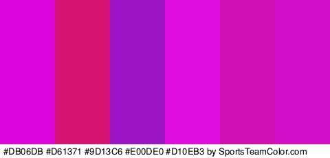 #DB06DB #D61371 #9D13C6 #E00DE0 #D10EB3 #D30EC9 Colors