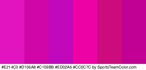 #E214C0 #D106A8 #C109BB #ED02A6 #CC0C7C #C10094 Colors