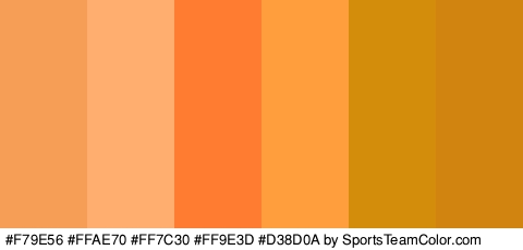 #F79E56 #FFAE70 #FF7C30 #FF9E3D #D38D0A #D18410 Colors