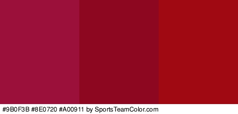 #9B0F3B #8E0720 #A00911 Colors