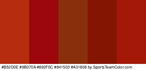 #B52D0E #9B070A #892F0C #841503 #A31806 Colors