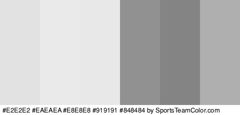 #E2E2E2 #EAEAEA #E8E8E8 #919191 #848484 #AFAFAF Colors