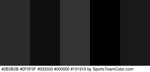 #2B2B2B #0F0F0F #333333 #000000 #191919 Colors