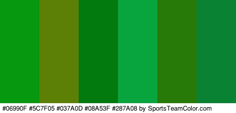 #06990F #5C7F05 #037A0D #08A53F #287A08 #098233 Colors