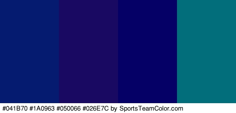 #041B70 #1A0963 #050066 #026E7C Colors