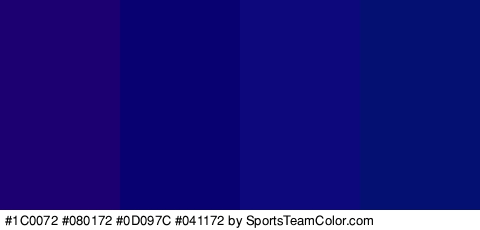 #1C0072 #080172 #0D097C #041172 Colors