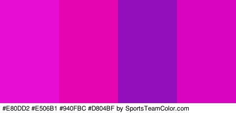 #E80DD2 #E506B1 #940FBC #D804BF Colors