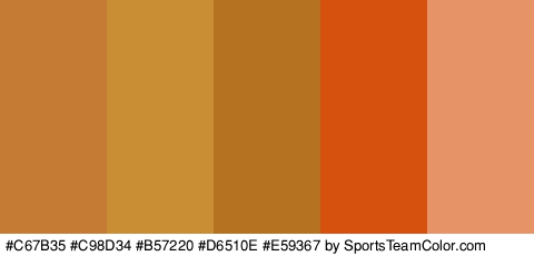 #C67B35 #C98D34 #B57220 #D6510E #E59367 Colors