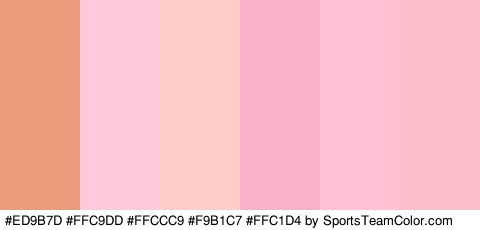 #ED9B7D #FFC9DD #FFCCC9 #F9B1C7 #FFC1D4 #FCBFCA Colors