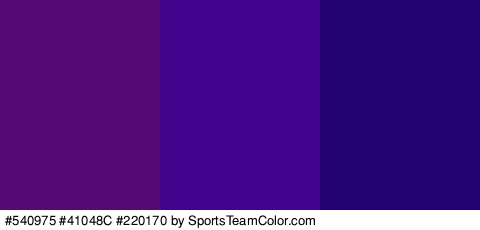 #540975 #41048C #220170 Colors