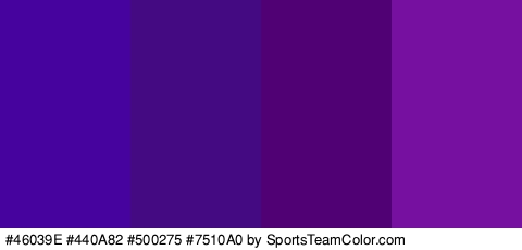 #46039E #440A82 #500275 #7510A0 Colors