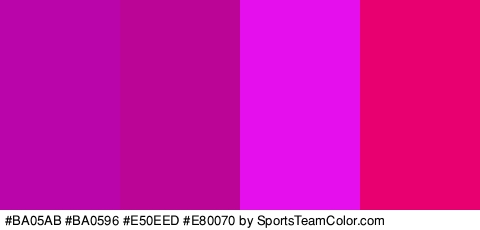 #BA05AB #BA0596 #E50EED #E80070 Colors