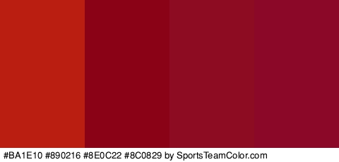 #BA1E10 #890216 #8E0C22 #8C0829 Colors