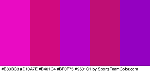 #E80BC3 #D10A7E #B401C4 #BF0F75 #9501C1 Colors