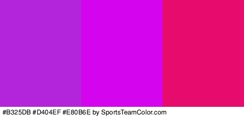 #B325DB #D404EF #E80B6E Colors