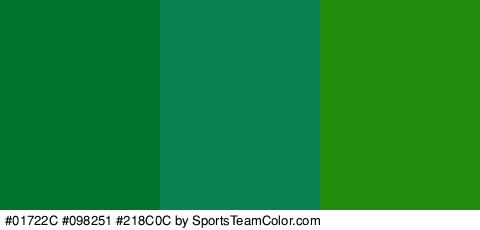 #01722C #098251 #218C0C Colors