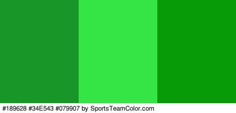 #189628 #34E543 #079907 Colors