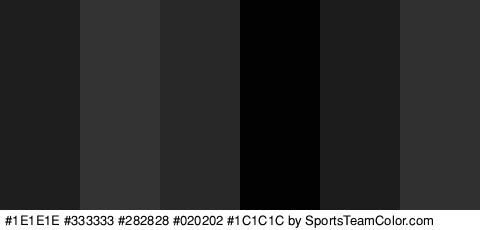 #1E1E1E #333333 #282828 #020202 #1C1C1C #303030 Colors