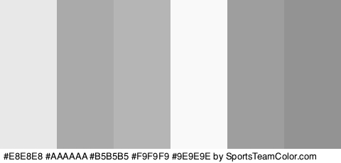 #E8E8E8 #AAAAAA #B5B5B5 #F9F9F9 #9E9E9E #939393 Colors