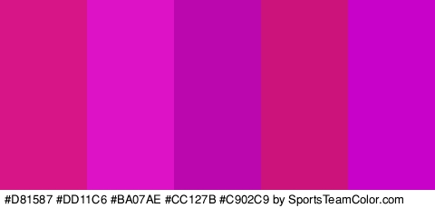 #D81587 #DD11C6 #BA07AE #CC127B #C902C9 Colors