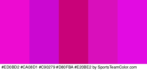 #ED0BD2 #CA08D1 #C90279 #D80FBA #E20BE2 Colors