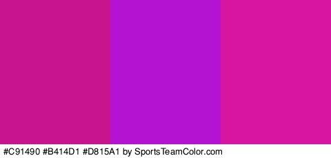 #C91490 #B414D1 #D815A1 Colors