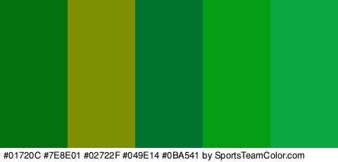 #01720C #7E8E01 #02722F #049E14 #0BA541 Colors