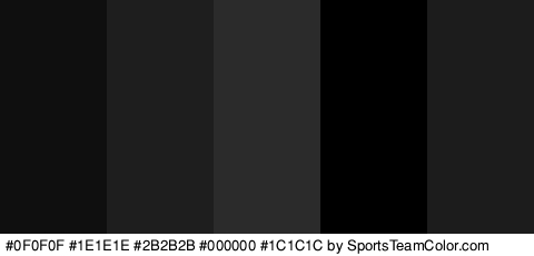 #0F0F0F #1E1E1E #2B2B2B #000000 #1C1C1C Colors