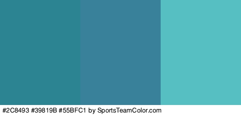 #2C8493 #39819B #55BFC1 Colors